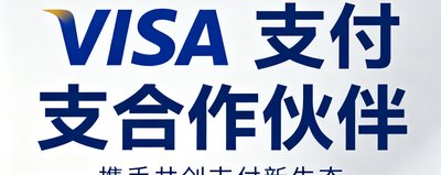 VISA支付合作伙伴